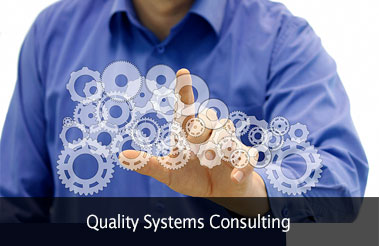 Quality Systems & Quality Assurance Consulting